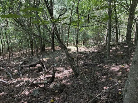 Lot 25 Trailwood Drive