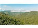 Lot 28 Rushing Falls Way Bryson City, NC 28713