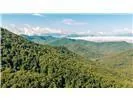 Lot 28 Rushing Falls Way Bryson City, NC 28713