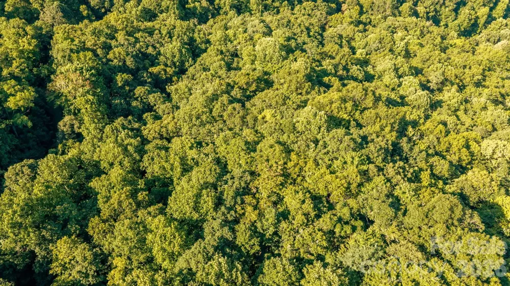 Lot 28 Rushing Falls Way Bryson City, NC 28713