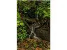 Lot 28 Rushing Falls Way Bryson City, NC 28713