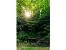 Lot 28 Rushing Falls Way Bryson City, NC 28713