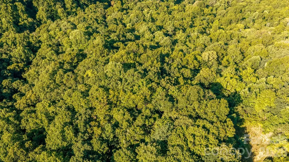 Lot 28 Rushing Falls Way Bryson City, NC 28713