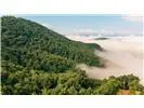 Lot 28 Rushing Falls Way Bryson City, NC 28713