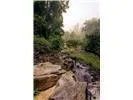 Lot 28 Rushing Falls Way Bryson City, NC 28713