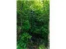 Lot 28 Rushing Falls Way Bryson City, NC 28713