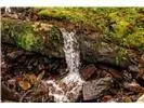 Lot 28 Rushing Falls Way Bryson City, NC 28713
