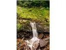 Lot 28 Rushing Falls Way Bryson City, NC 28713
