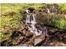 Lot 28 Rushing Falls Way Bryson City, NC 28713