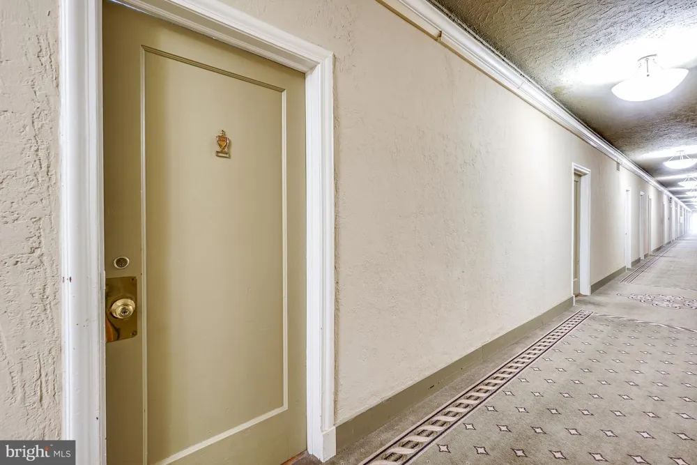 2032 BELMONT ROAD #234 Washington, DC 20009