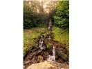Rushing Falls Way Bryson City, NC 28713