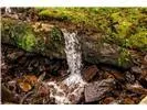 Rushing Falls Way Bryson City, NC 28713