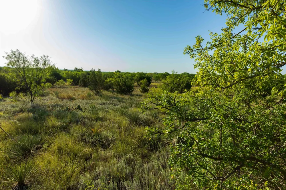HWY 83 Ovalo, TX 79541