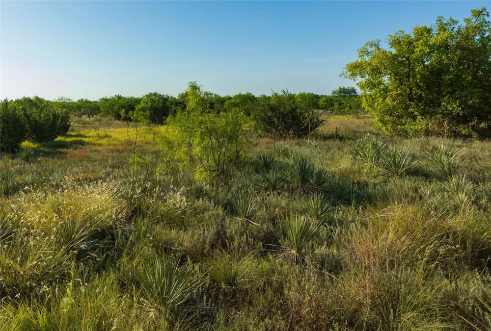 HWY 83 Ovalo, TX 79541