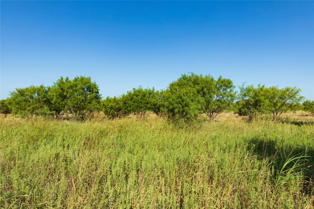 HWY 83 Ovalo, TX 79541