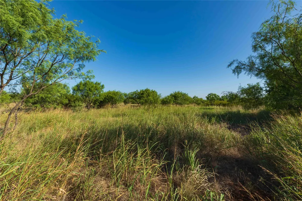 HWY 83 Ovalo, TX 79541