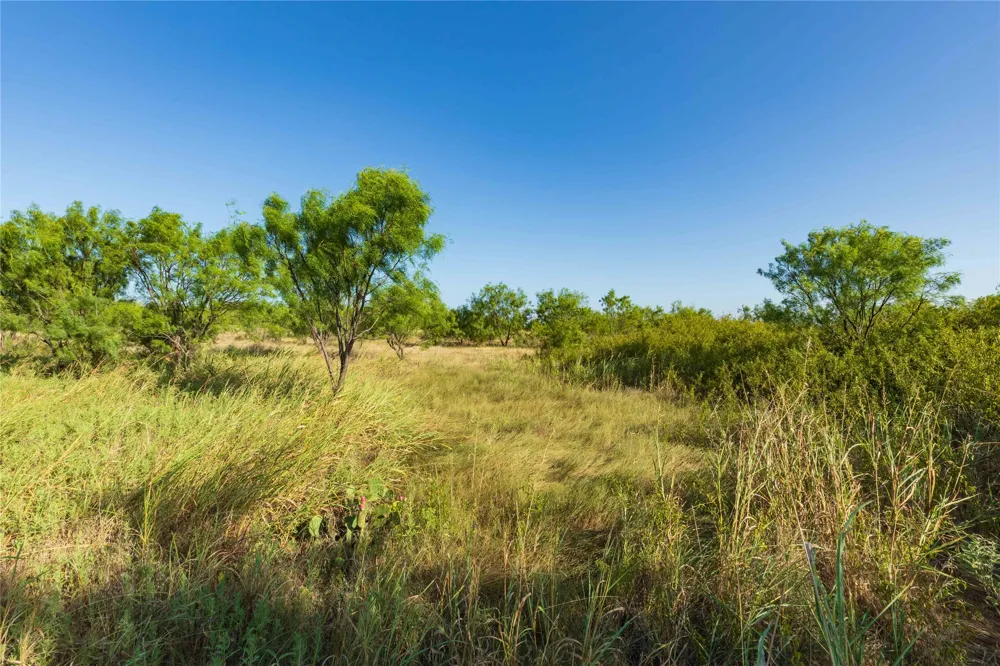 HWY 83 Ovalo, TX 79541