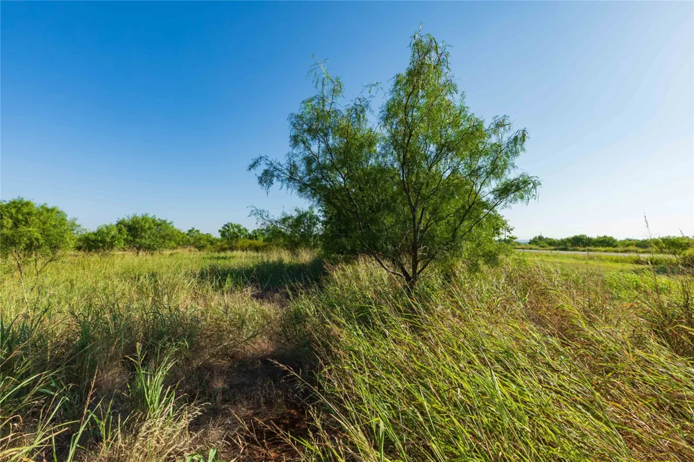 HWY 83 Ovalo, TX 79541