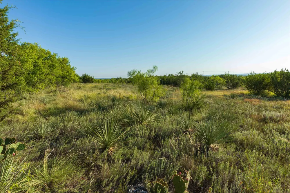 HWY 83 Ovalo, TX 79541