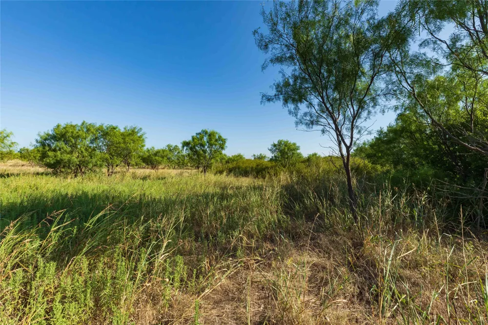 HWY 83 Ovalo, TX 79541