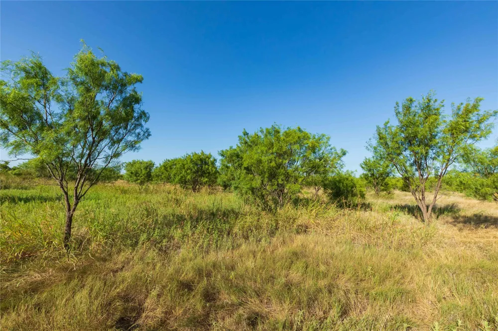 HWY 83 Ovalo, TX 79541