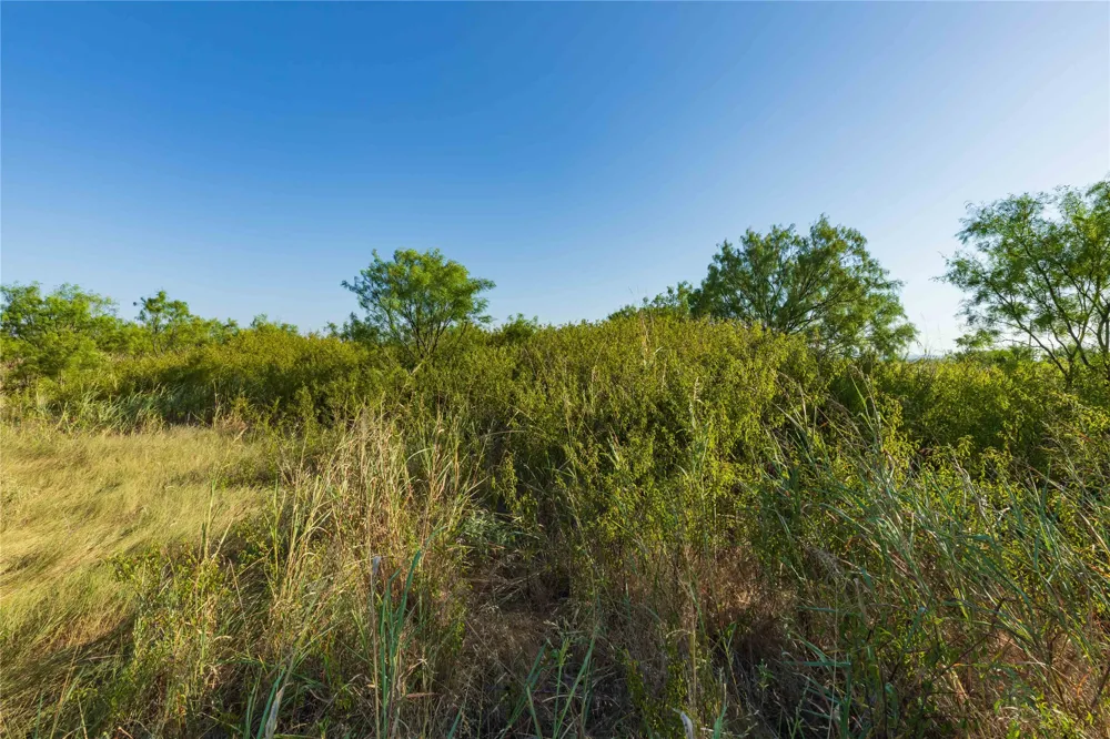 HWY 83 Ovalo, TX 79541