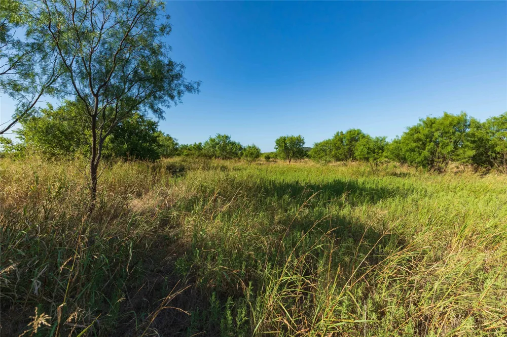HWY 83 Ovalo, TX 79541