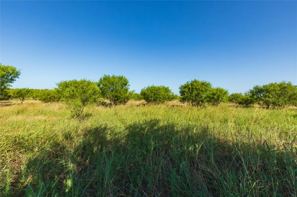 HWY 83 Ovalo, TX 79541