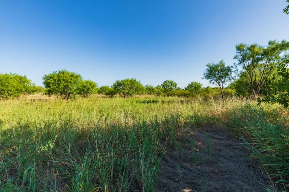 HWY 83 Ovalo, TX 79541