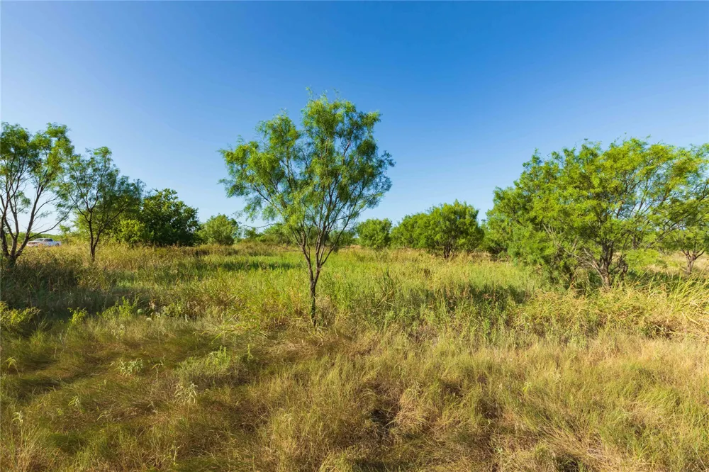 HWY 83 Ovalo, TX 79541