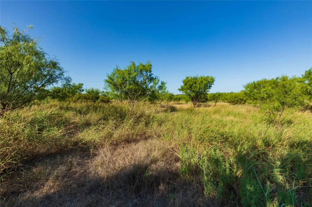 HWY 83 Ovalo, TX 79541
