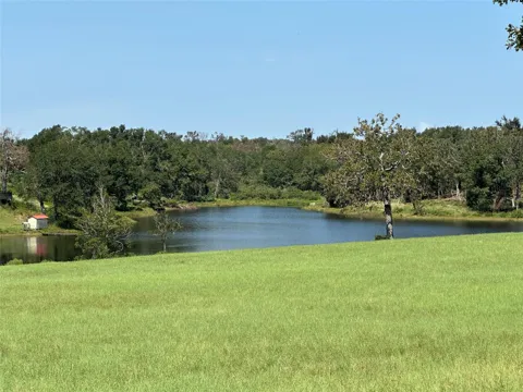 87 Horseshoe Lake Ranch