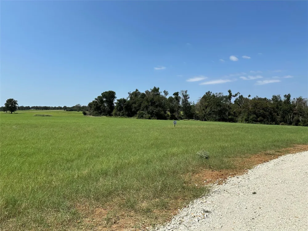 87 Horseshoe Lake Ranch Marquez, TX 77865