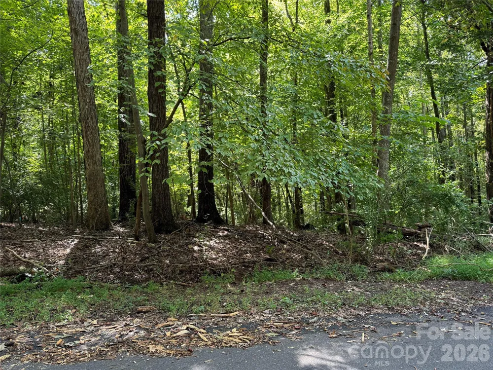 .99 acres Hwy 321 ByPass York, SC 29745