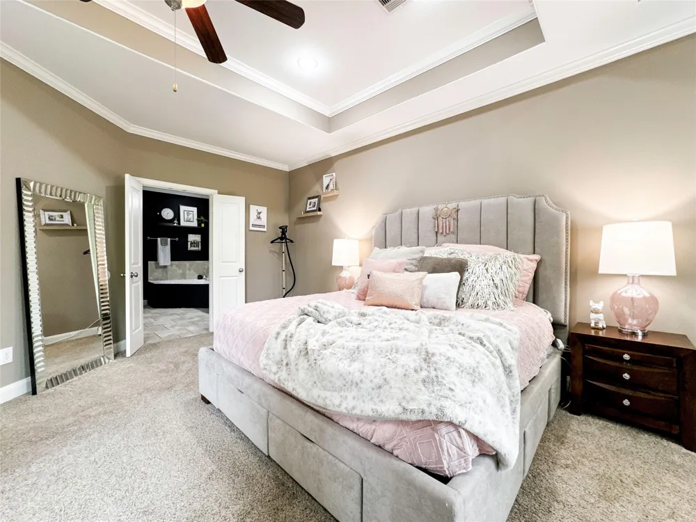717 Via Lago Webster, TX 77598