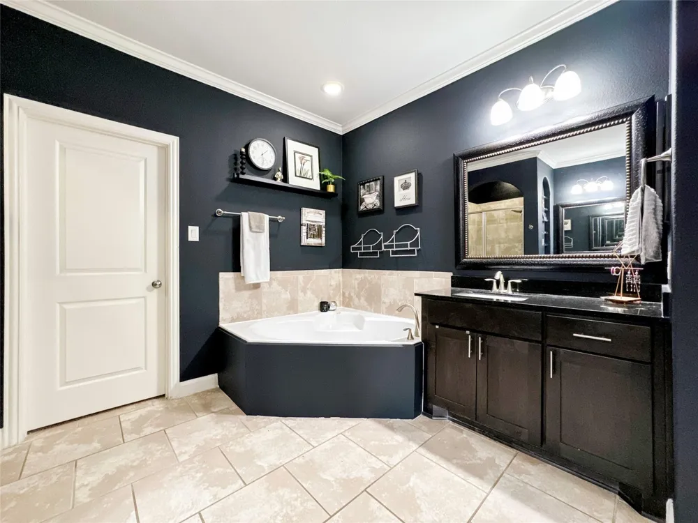 717 Via Lago Webster, TX 77598