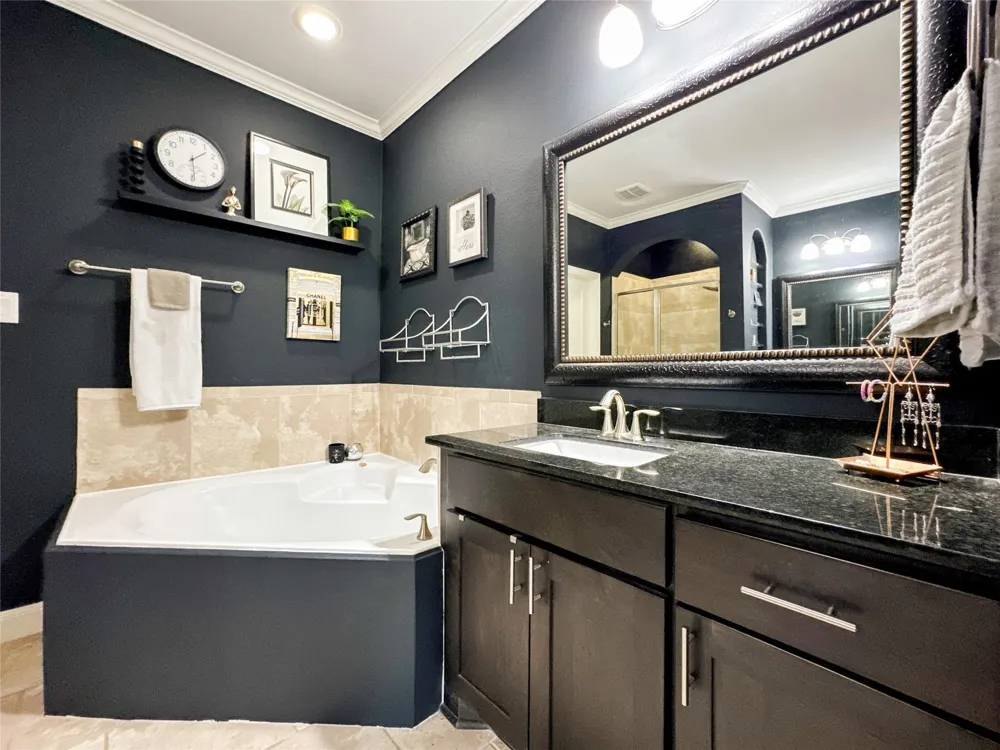 717 Via Lago Webster, TX 77598