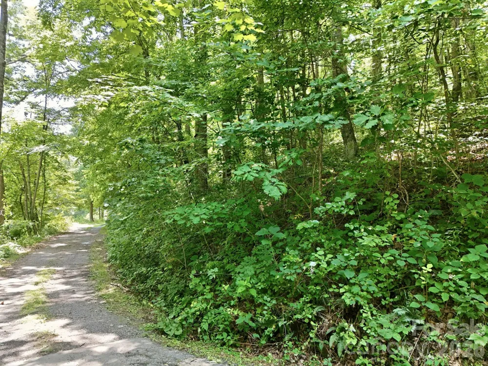 28 Mountain Breeze Trail Asheville, NC 28803