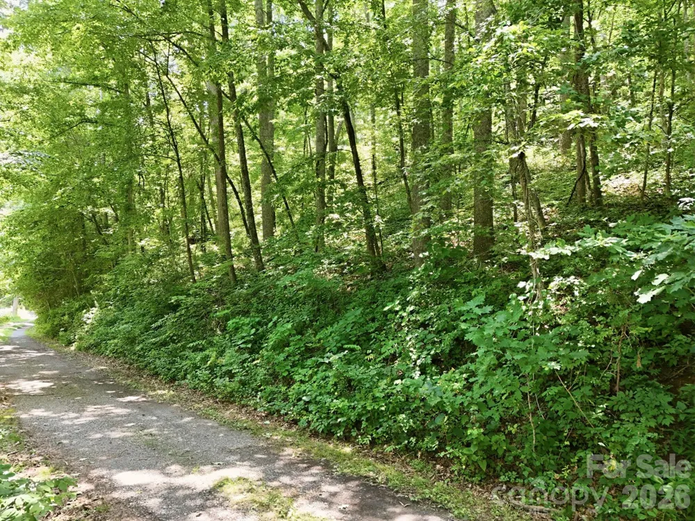 28 Mountain Breeze Trail Asheville, NC 28803