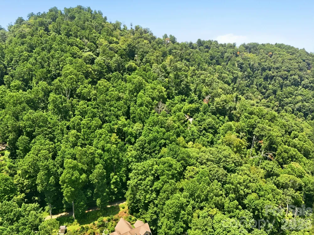 28 Mountain Breeze Trail Asheville, NC 28803