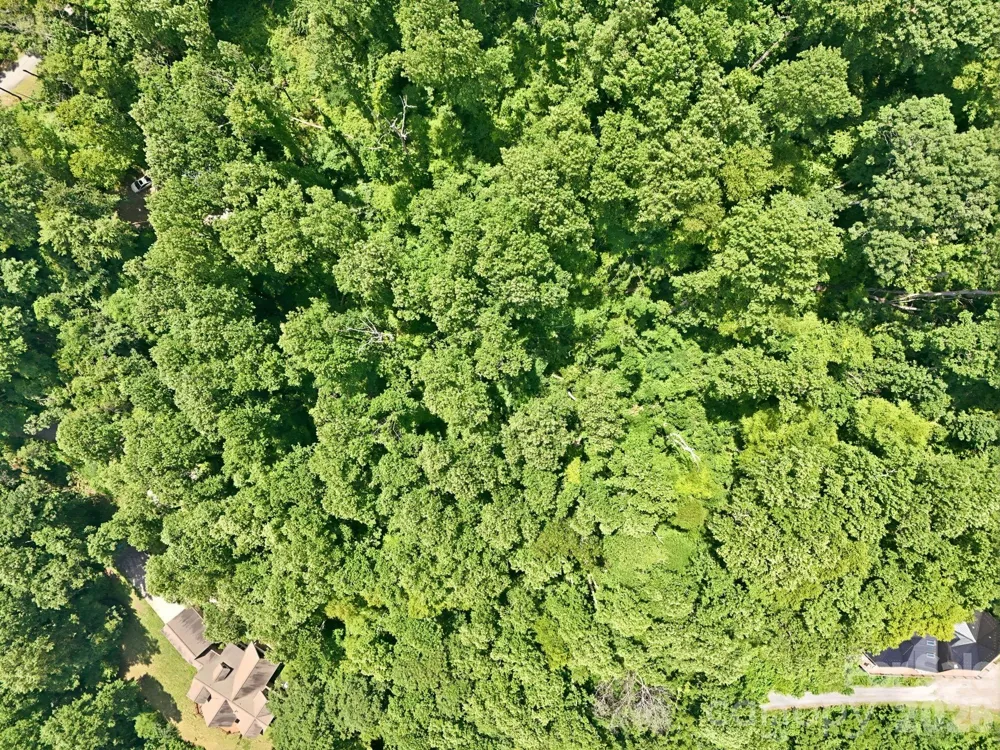 28 Mountain Breeze Trail Asheville, NC 28803