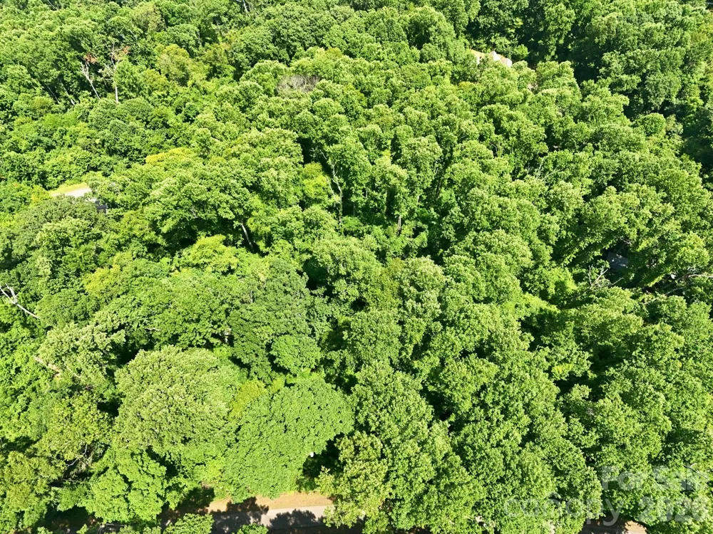 28 Mountain Breeze Trail Asheville, NC 28803