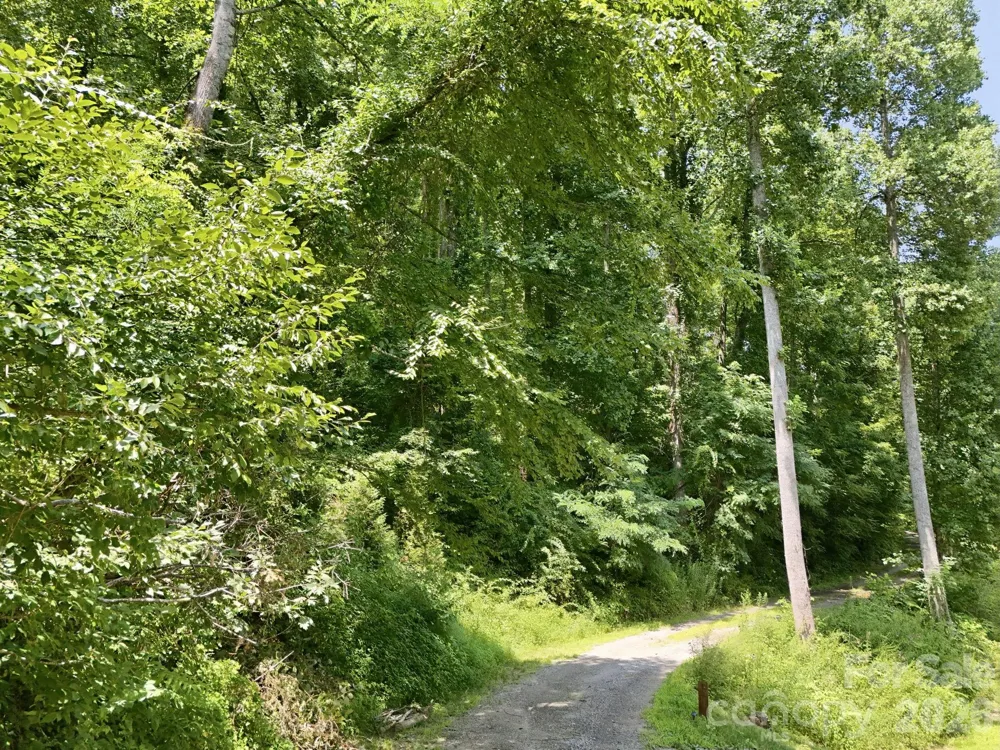28 Mountain Breeze Trail Asheville, NC 28803
