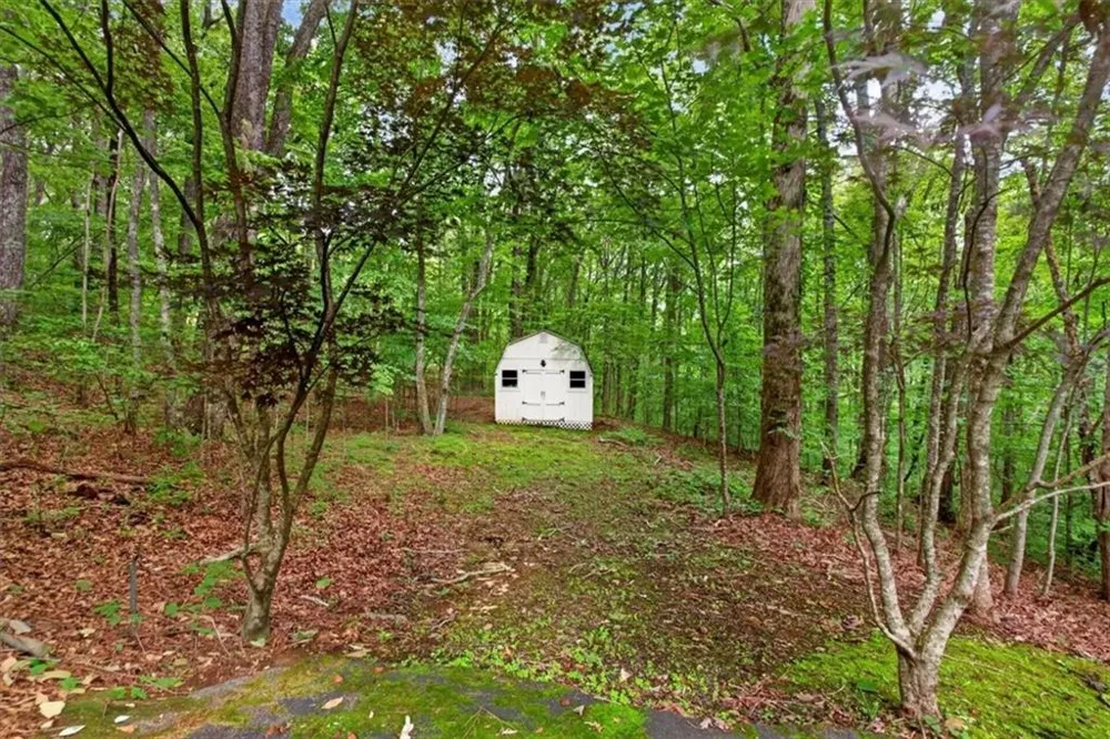 654 Oaklands Drive Talking Rock, GA 30175