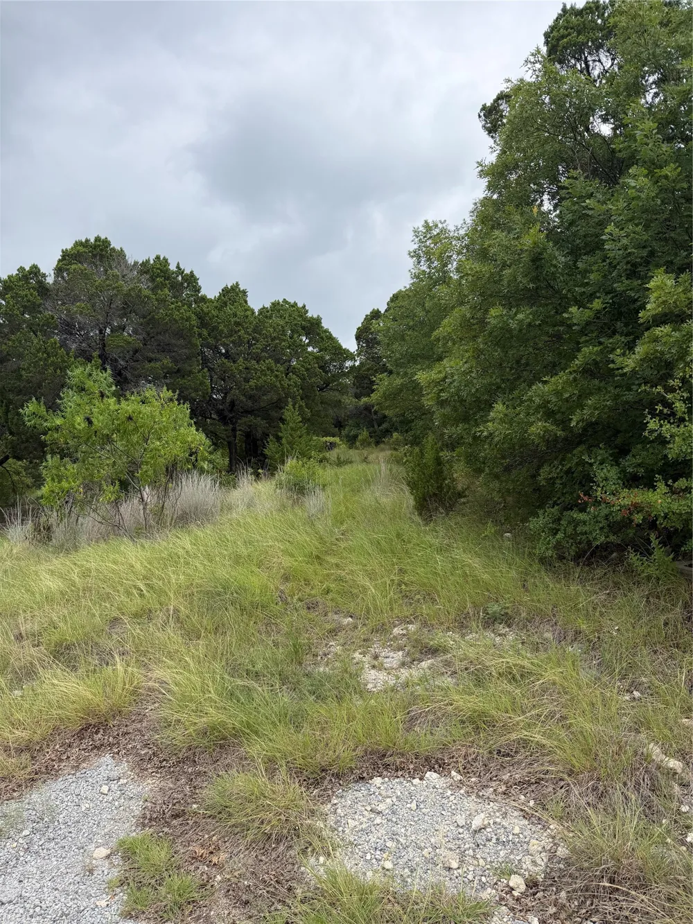 9700 Scenic View Court Rio Vista, TX 76093