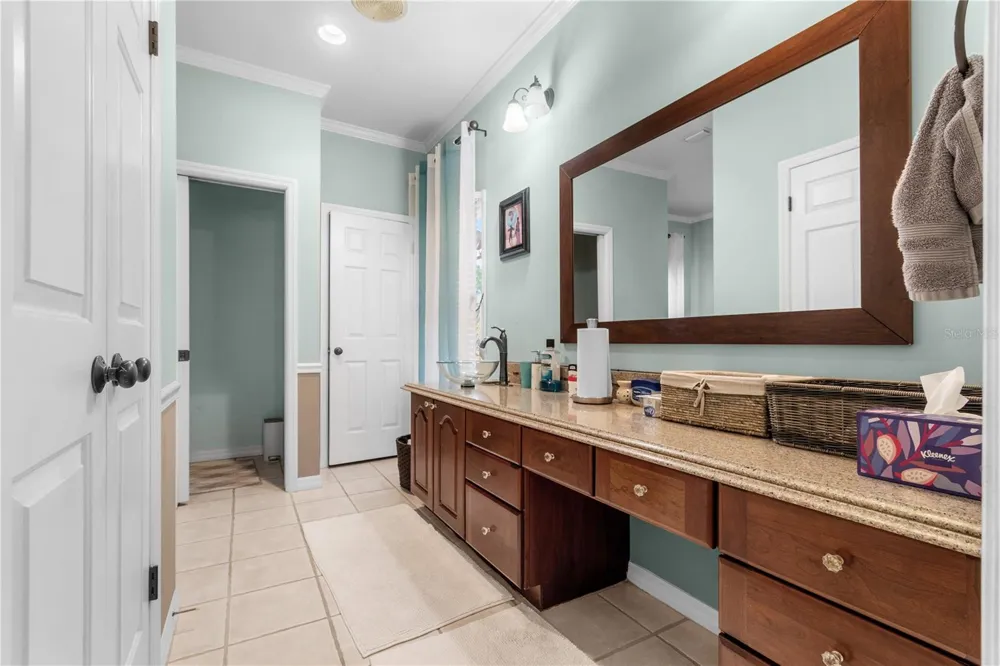 10002 HUNT CLIFF DRIVE Riverview, FL 33569