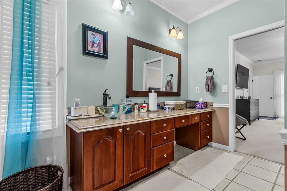 10002 HUNT CLIFF DRIVE Riverview, FL 33569