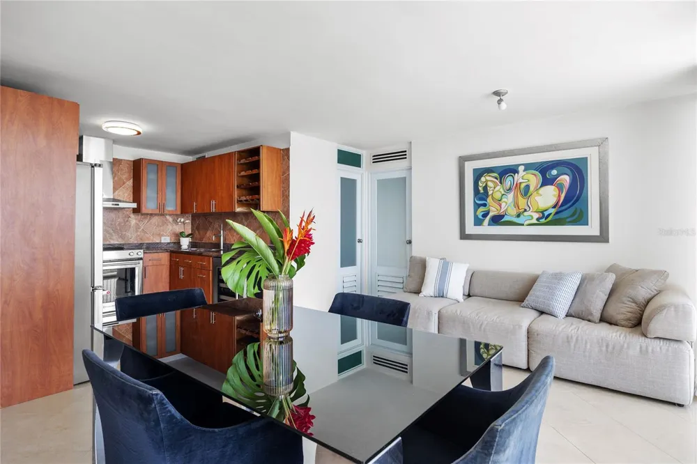 890 ASHFORD #8A San Juan, PR 00907