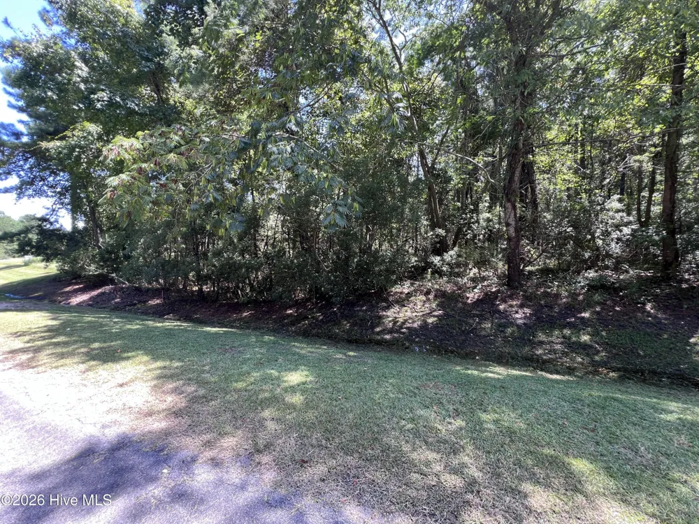 Lot#43,43a Windy Point Belhaven, NC 27810