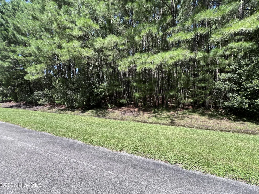 Lot#43,43a Windy Point Belhaven, NC 27810